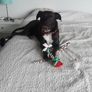 Fundraising Page: Marilyn Zelin